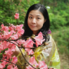 何小鱼